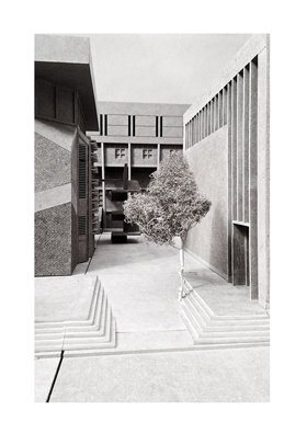 desert-wood-tum-ain-shams-university-cairo